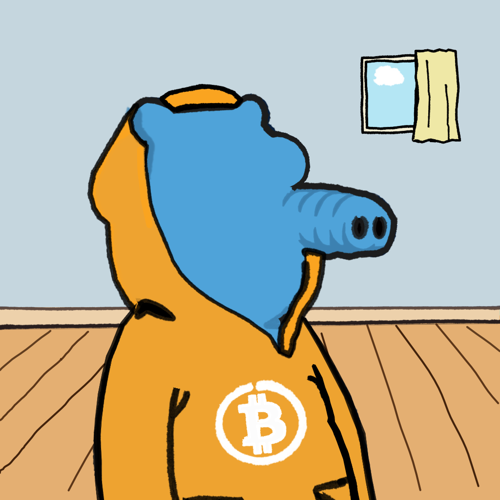 The Snoot in the room, now wearing an orange Bitcoin-logo hoodie